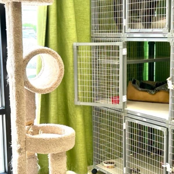 Pet kennel room