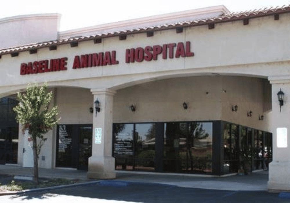 Baseline Animal Hospital